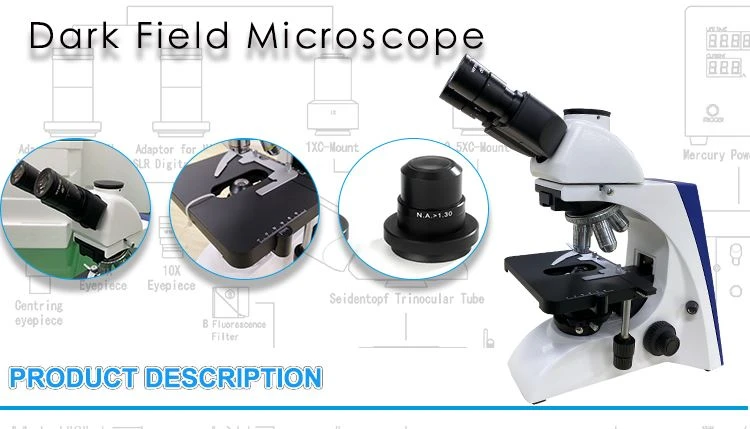 Trinocular Darkfield Live Blood Analysis Microscope manufacturer