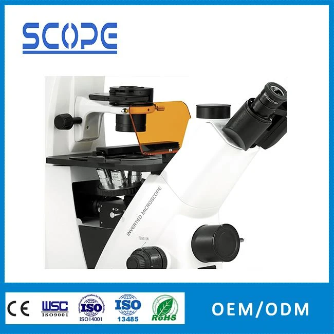 China best inverted biological fluorescence microscope