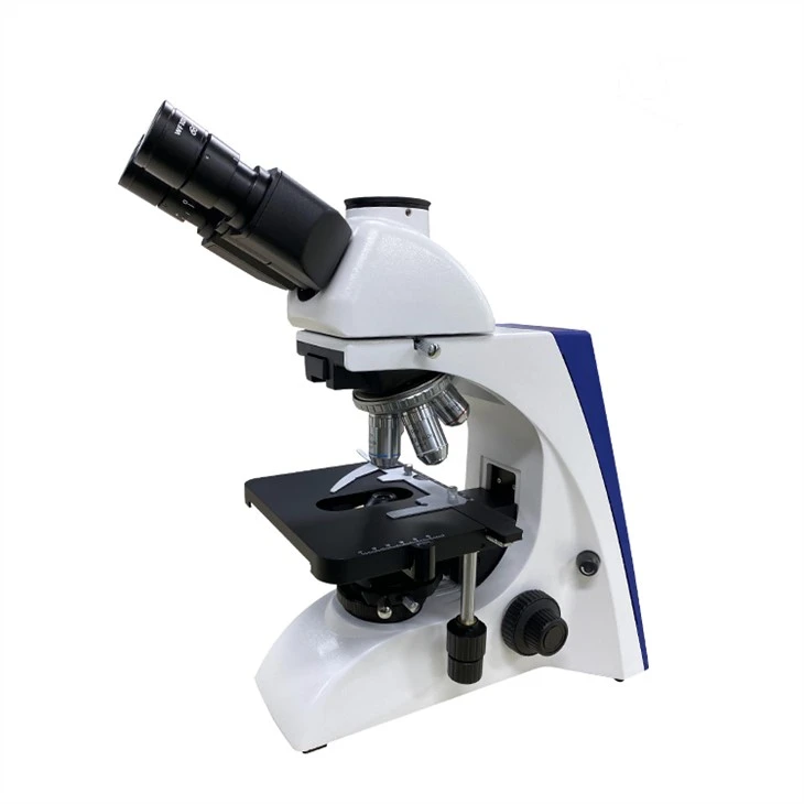 BK5000-TR Trinocular Darkfield Live Blood Analysis Microscope on sale